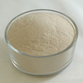 Psyllium Husk Powder (95%)